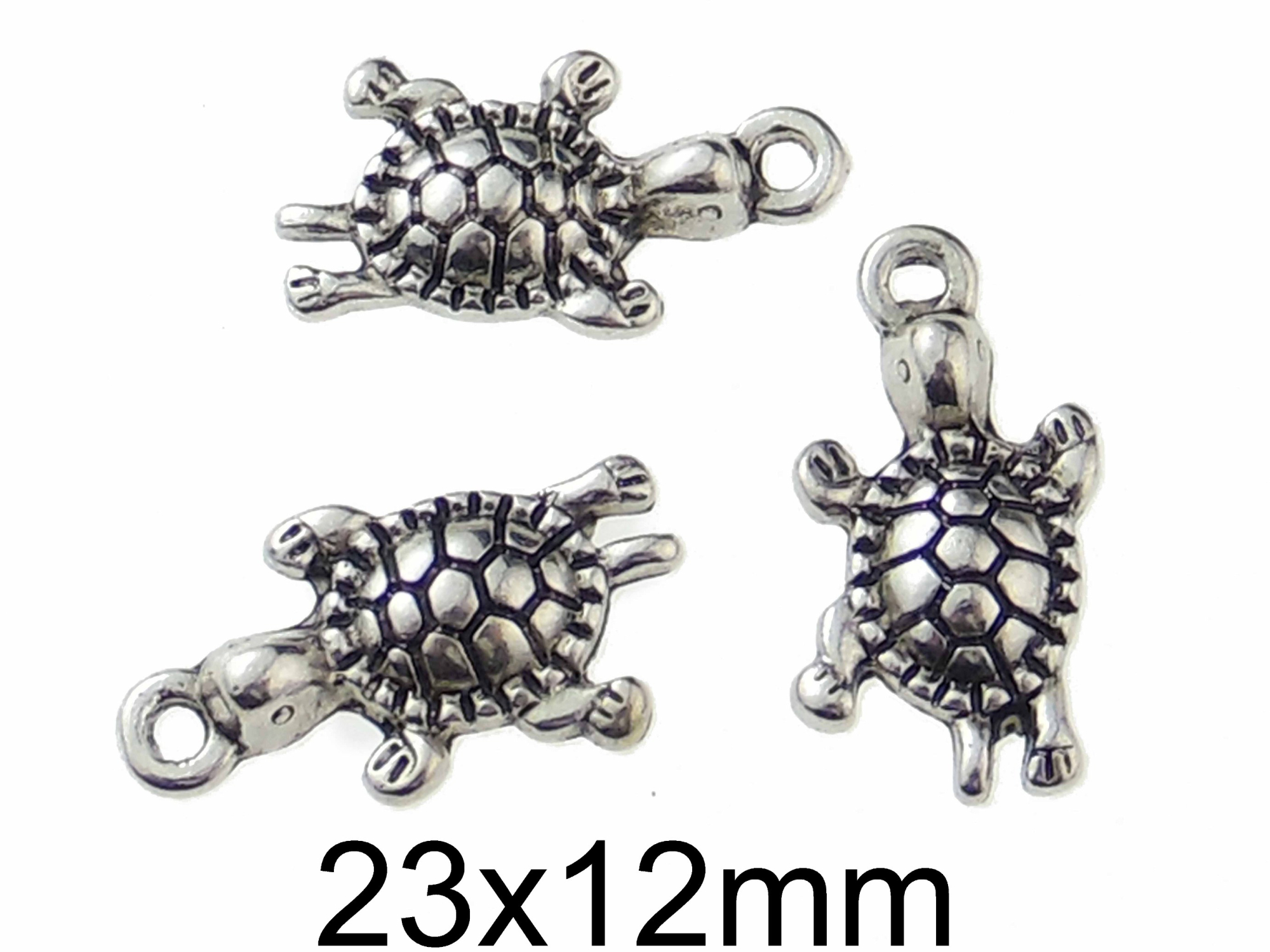 Charm Broscuta Testoasa