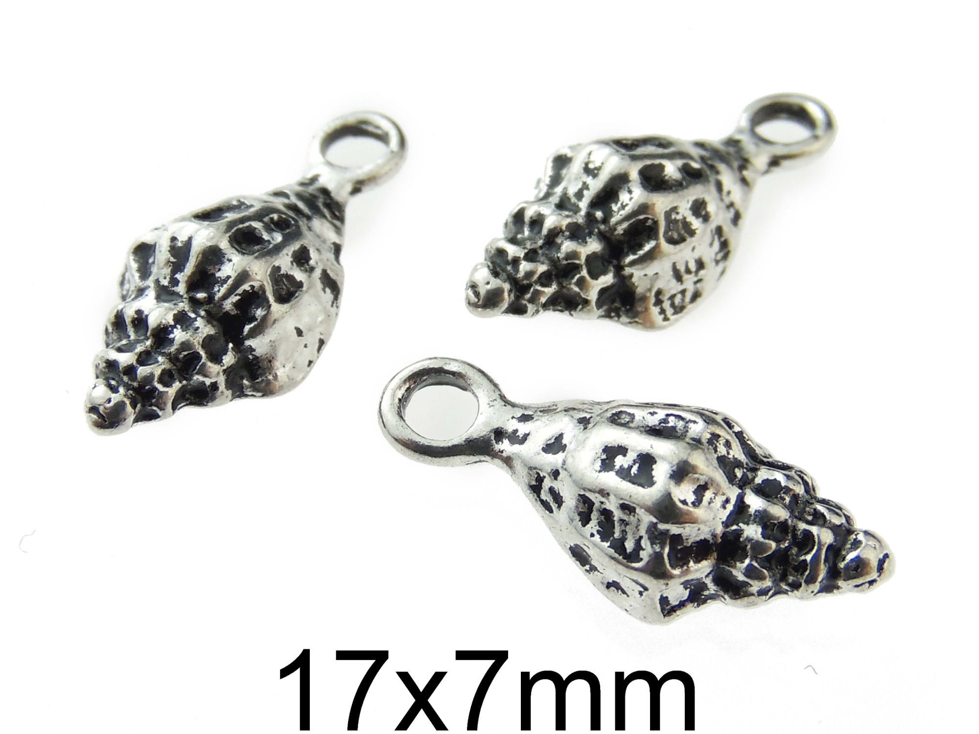 Charm Scoica