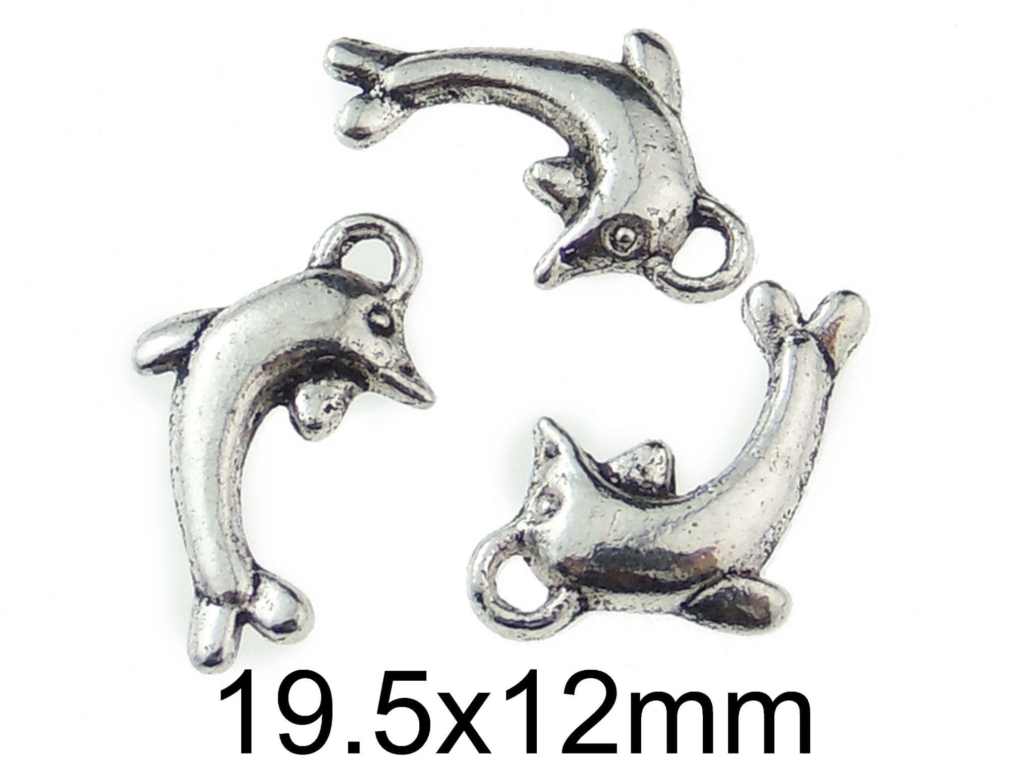 Charm Delfin