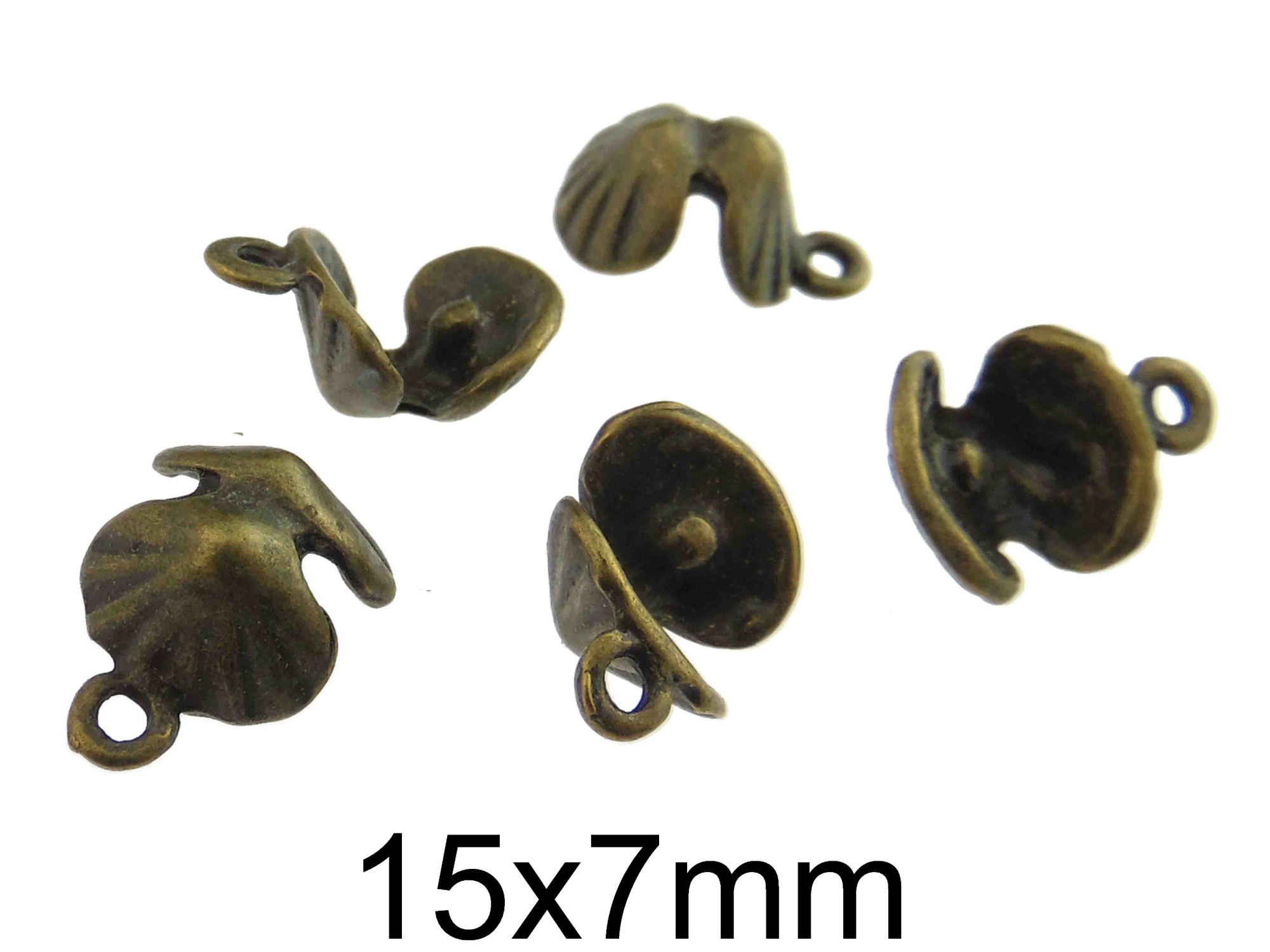 Charm Scoica