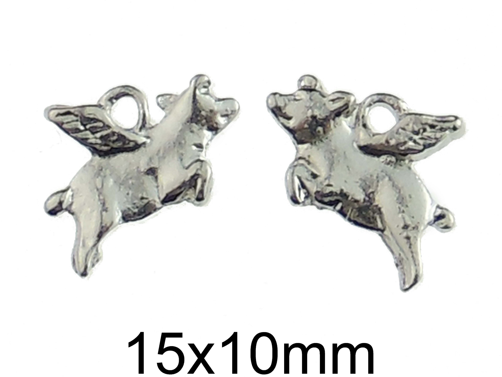 Charm Porcusor Zburator