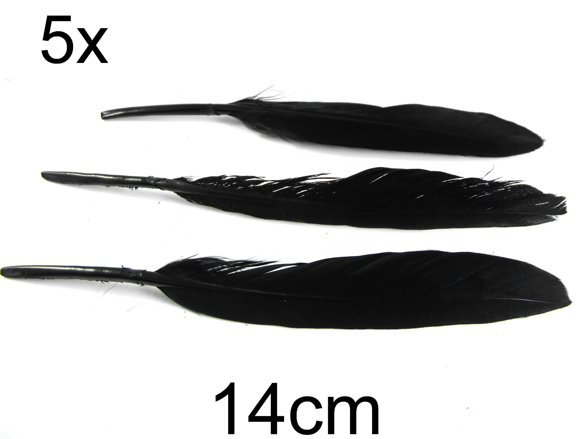 (5b)Pene - pene011