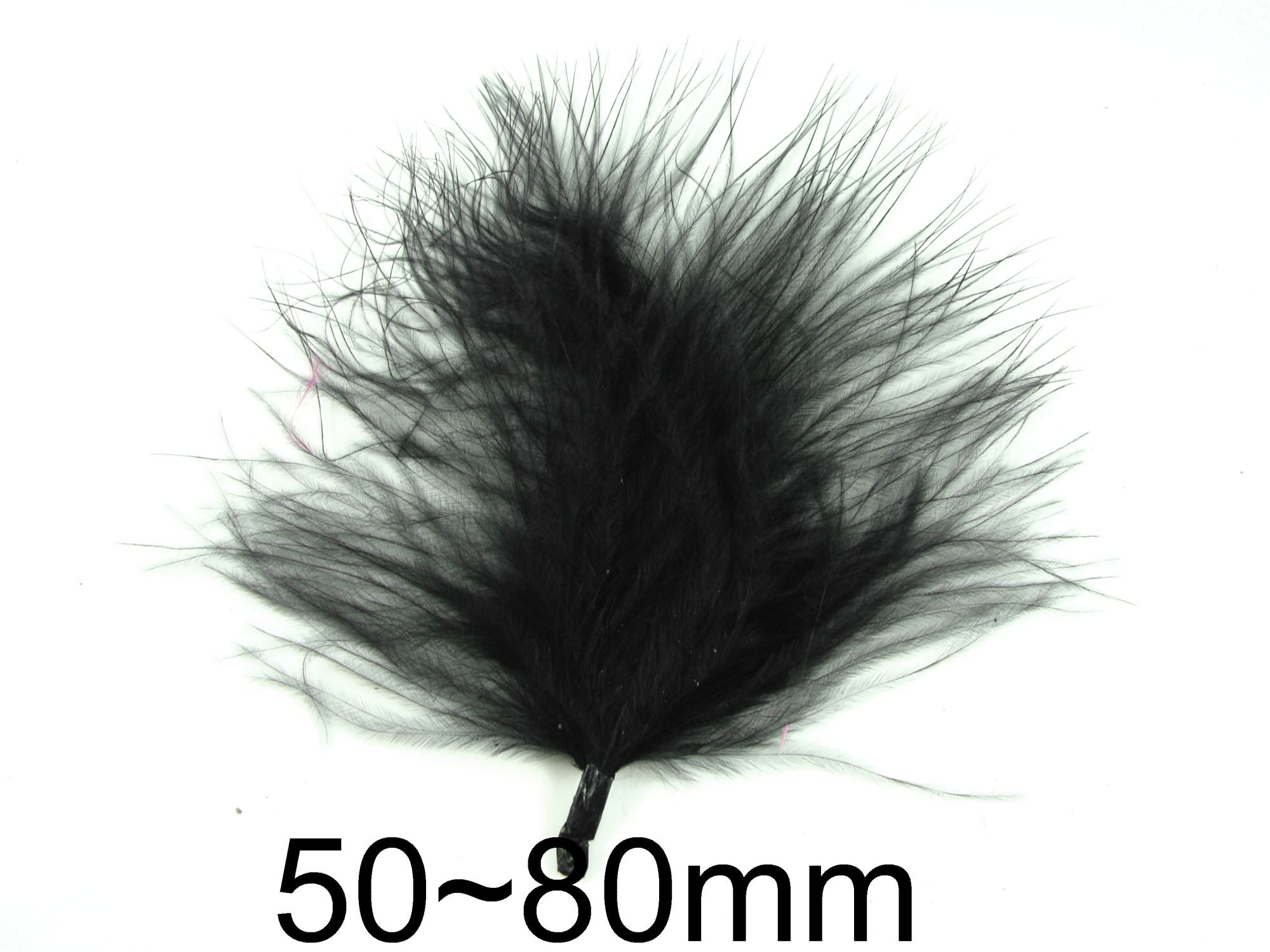 Pene - pene015