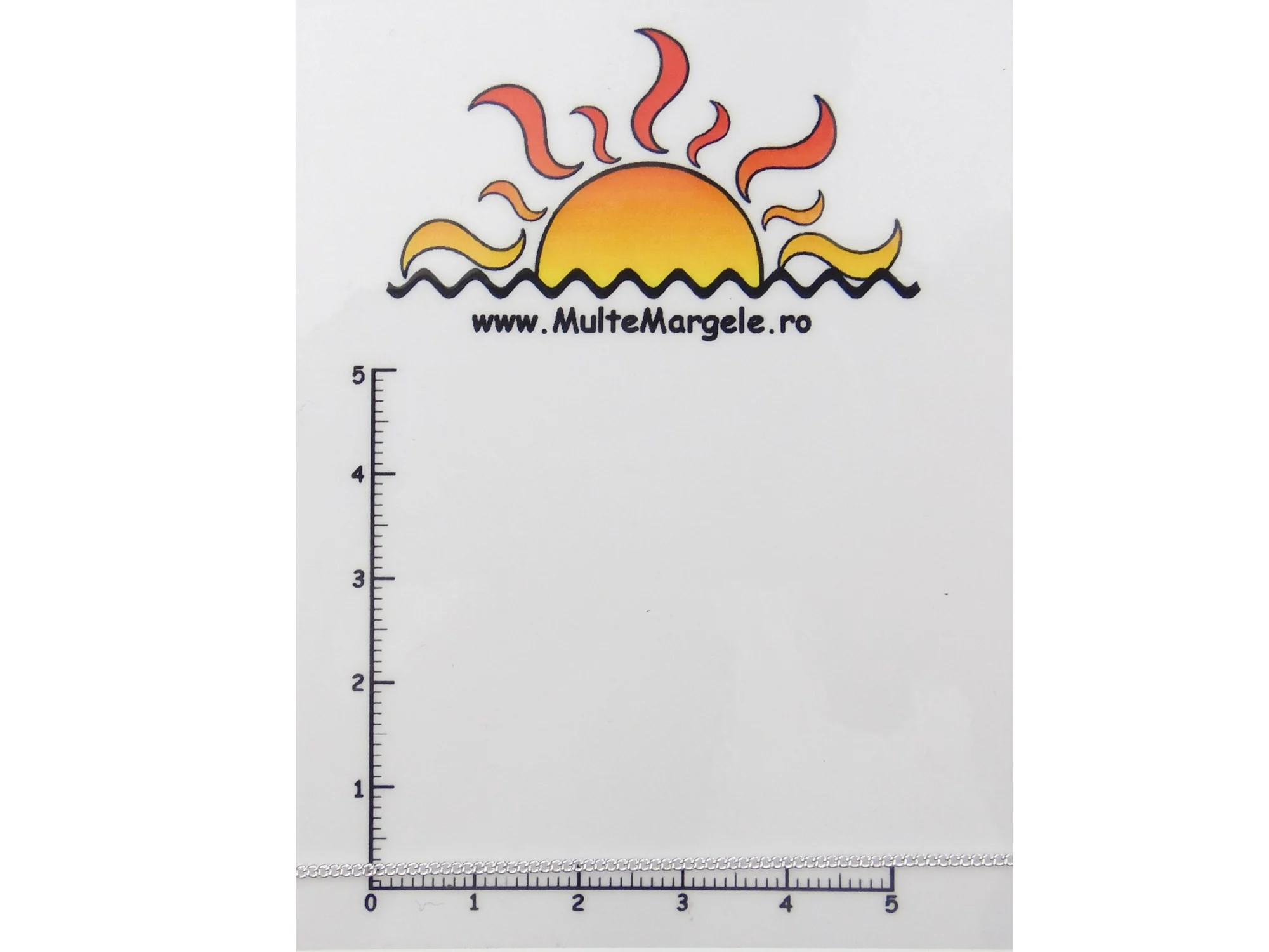 Lant Argintiu 2x1x0.35mm (49cm)