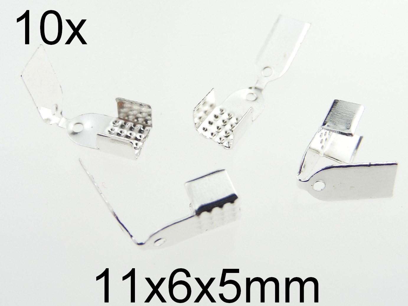 (10b)Capat Snur / Panglica