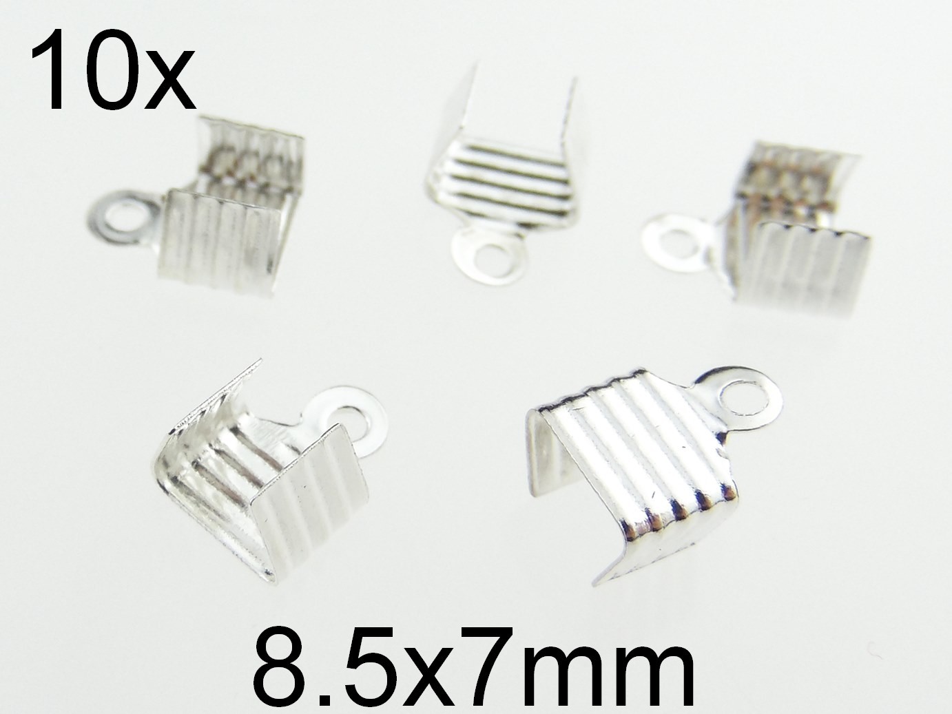 (10b)Capat Snur / Panglica